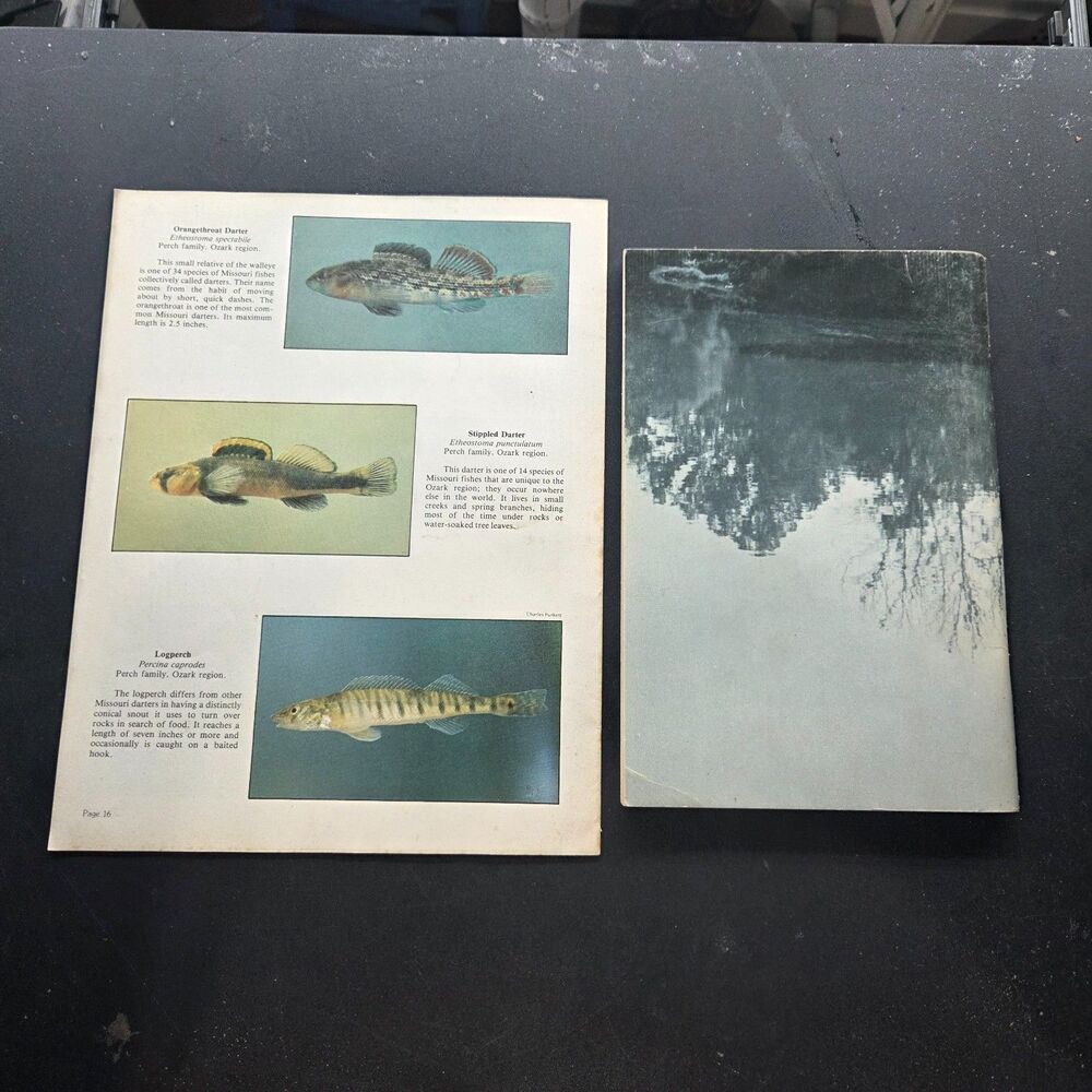 Vintage Missouri Ozark Waterways Fishing Books Fish Guide Conservation Lot - Picture 2 of 9